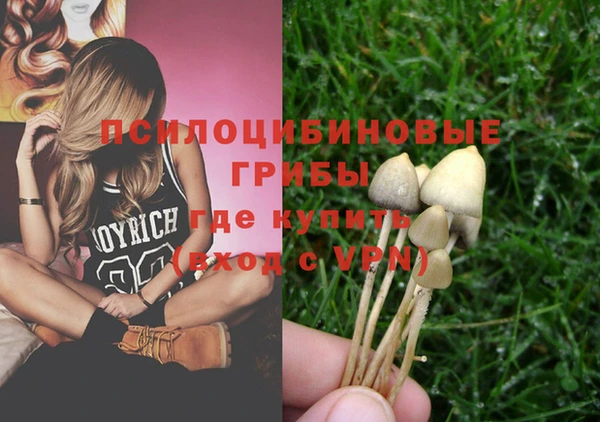 ПСИЛОЦИБИНОВЫЕ ГРИБЫ Бородино