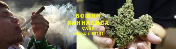 ПСИЛОЦИБИНОВЫЕ ГРИБЫ Бородино