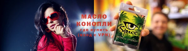 амф Тайга
