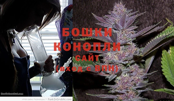 ПСИЛОЦИБИНОВЫЕ ГРИБЫ Бородино
