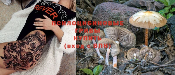 mdpv Верея