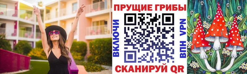 Псилоцибиновые грибы Cubensis  Володарск 